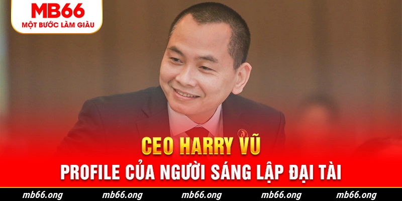 Thông tin liên về CEO Harry Vũ